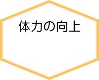 体力の向上