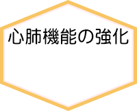 心肺機能の強化